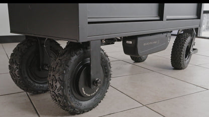 Motorized Cart Conversion Kit with Disc Brakes